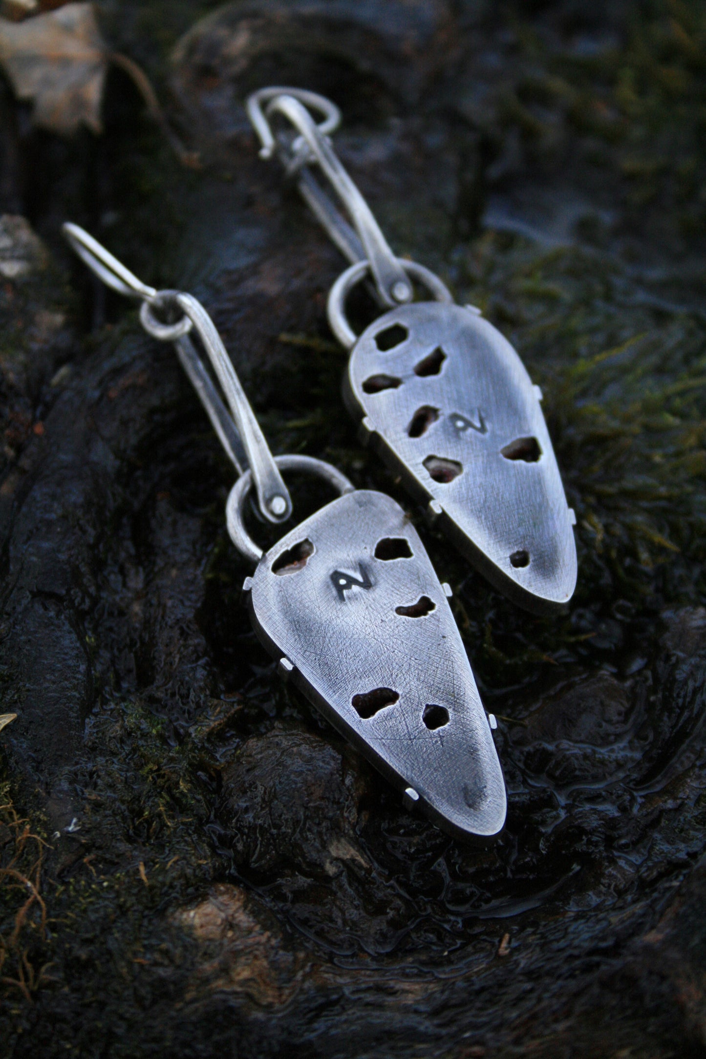 Petrified Wood Earrings