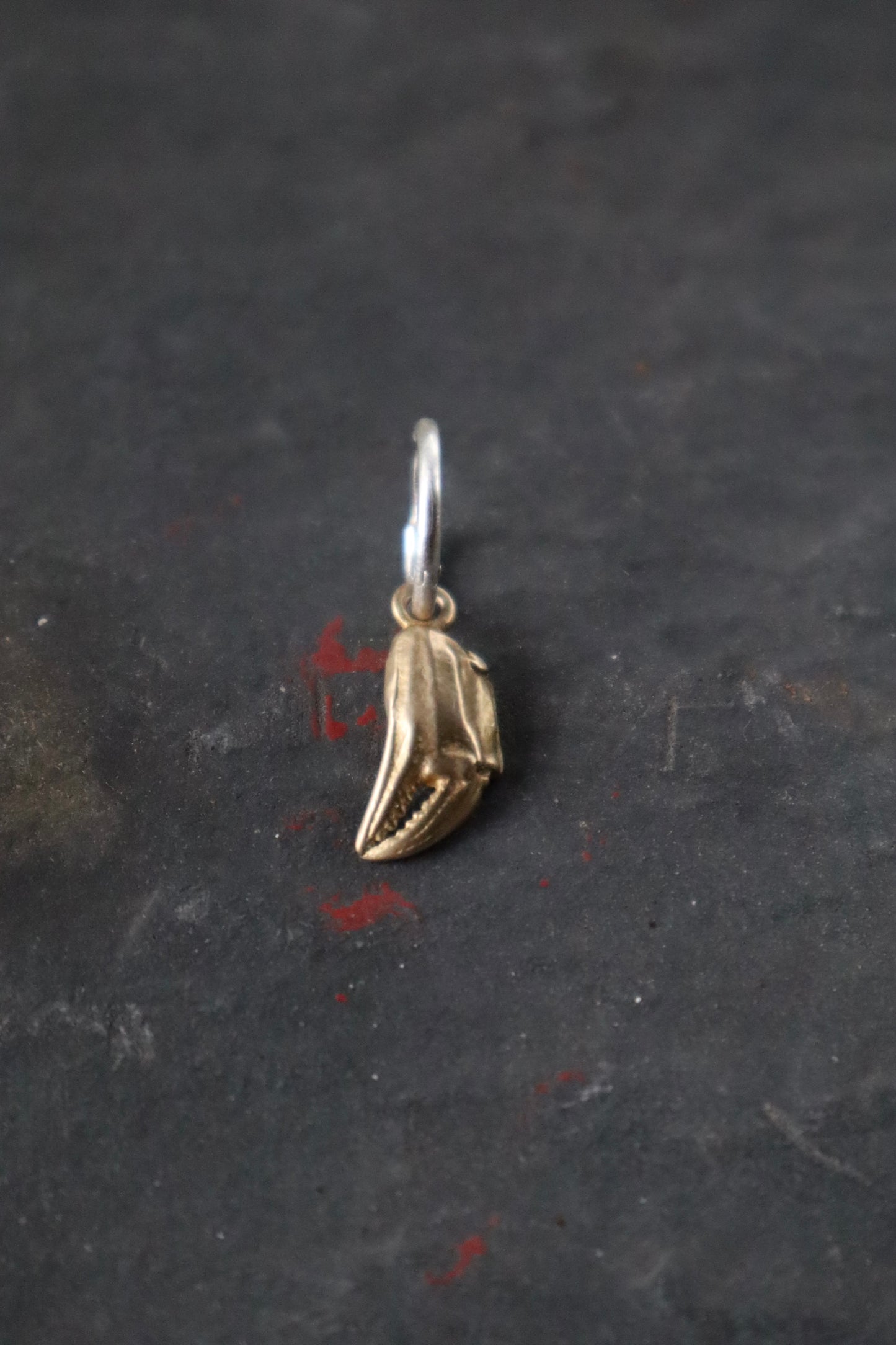 SINGLE BRONZE Crab Claw Hoop