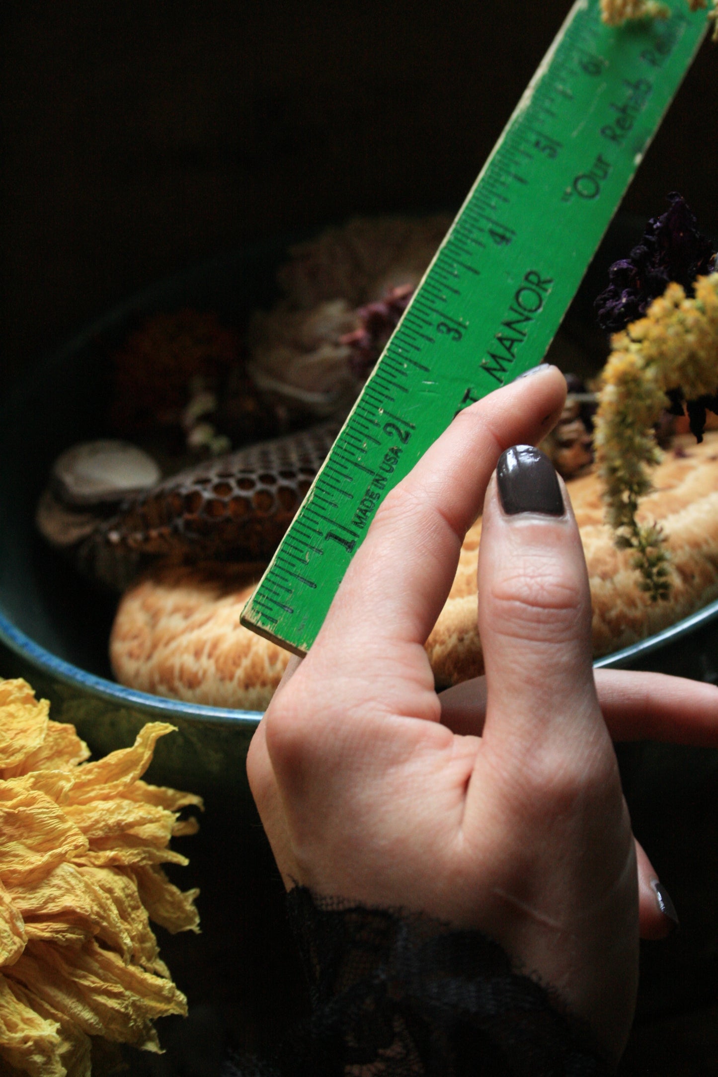 Raven Skull Knuckle Ring