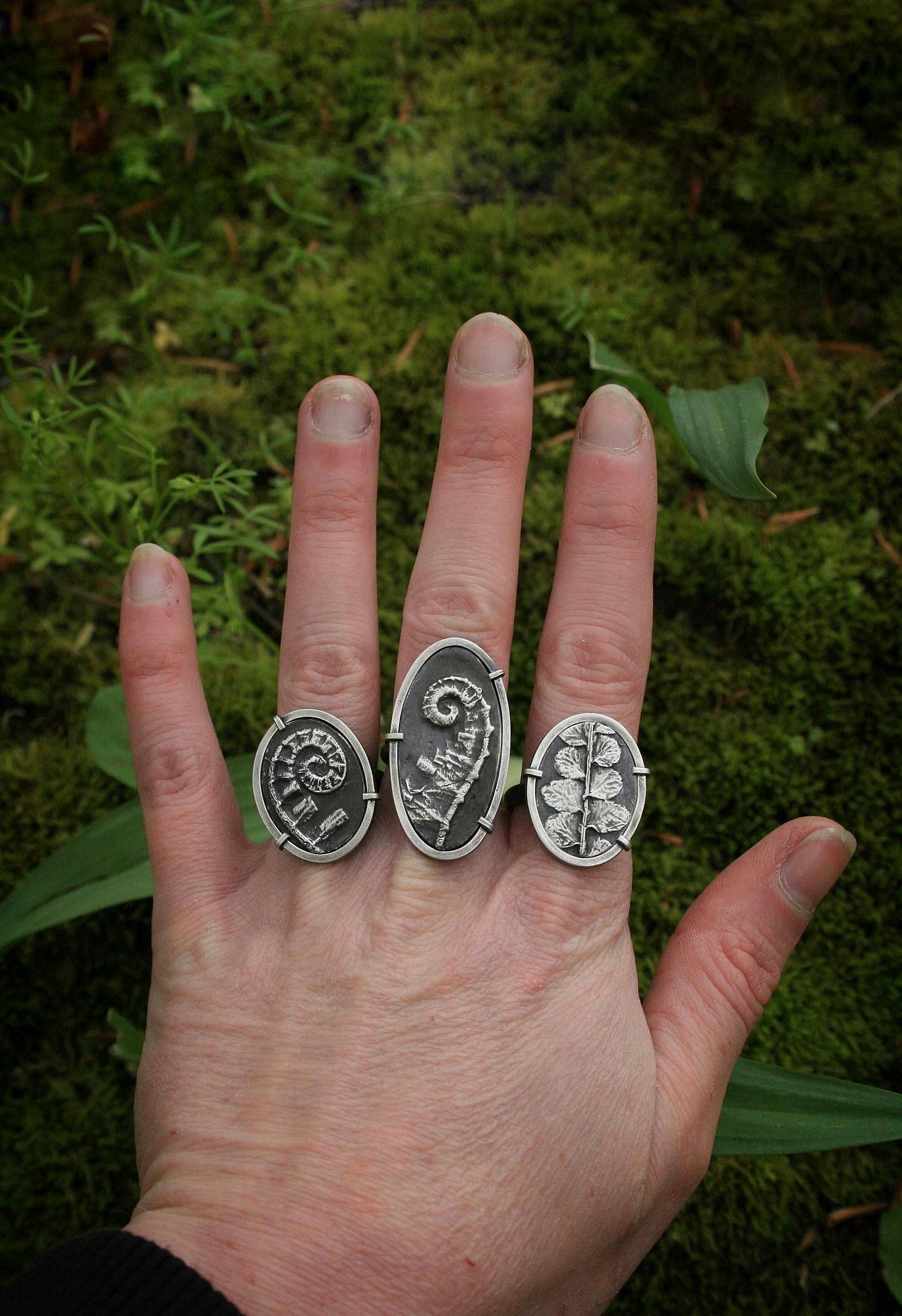 Fern Rings
