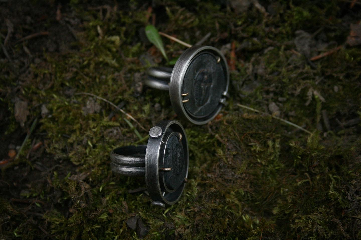 Trilobite Shadowbox Rings