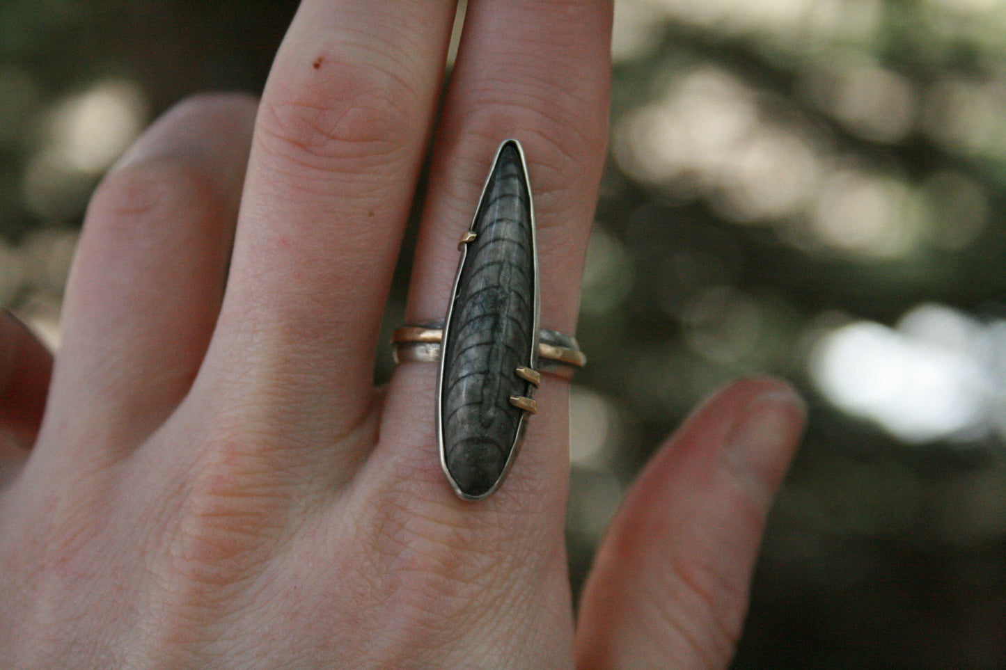 Orthoceras Ring // Size 7.75-8