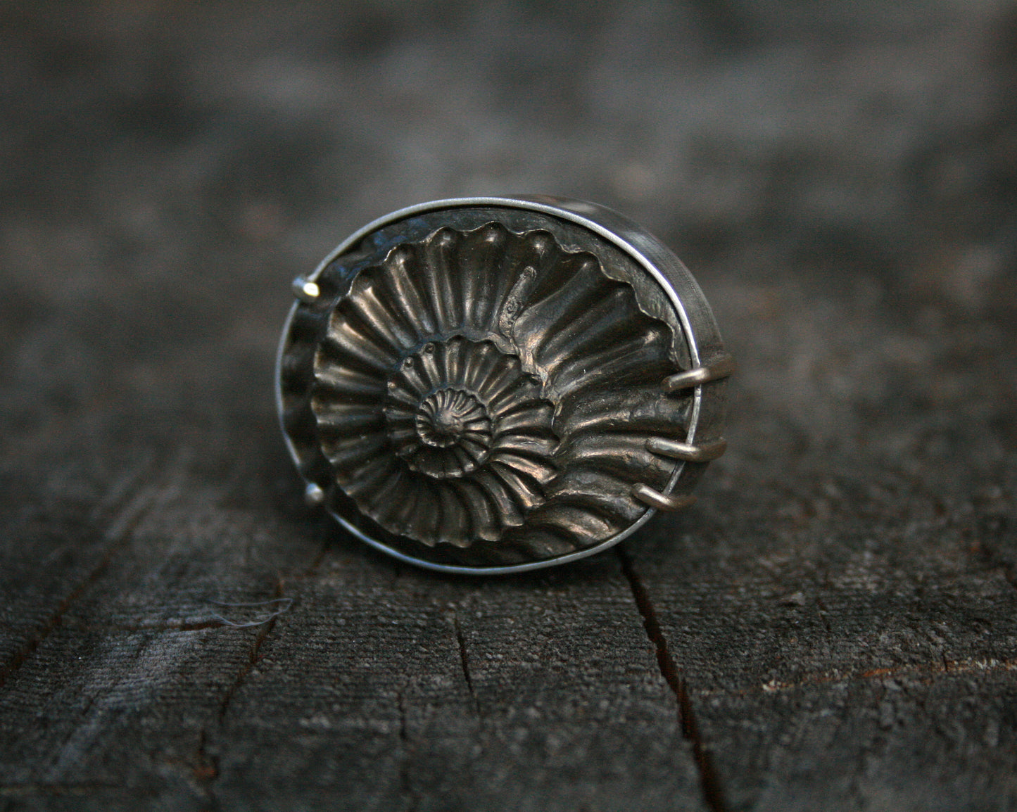 Pyritized Ammonite Negative Ring // Size 7-7.25