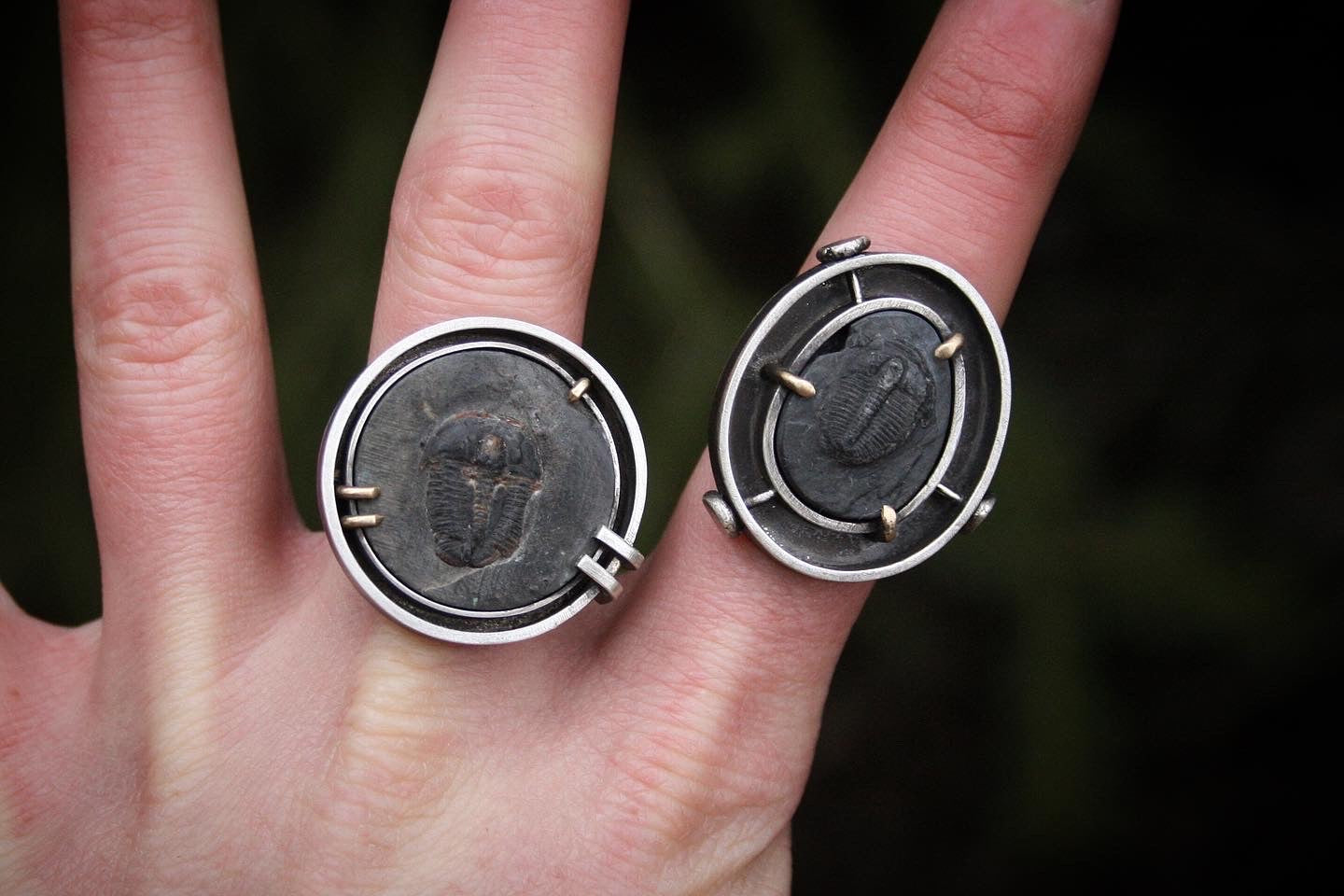 Trilobite Shadowbox Rings