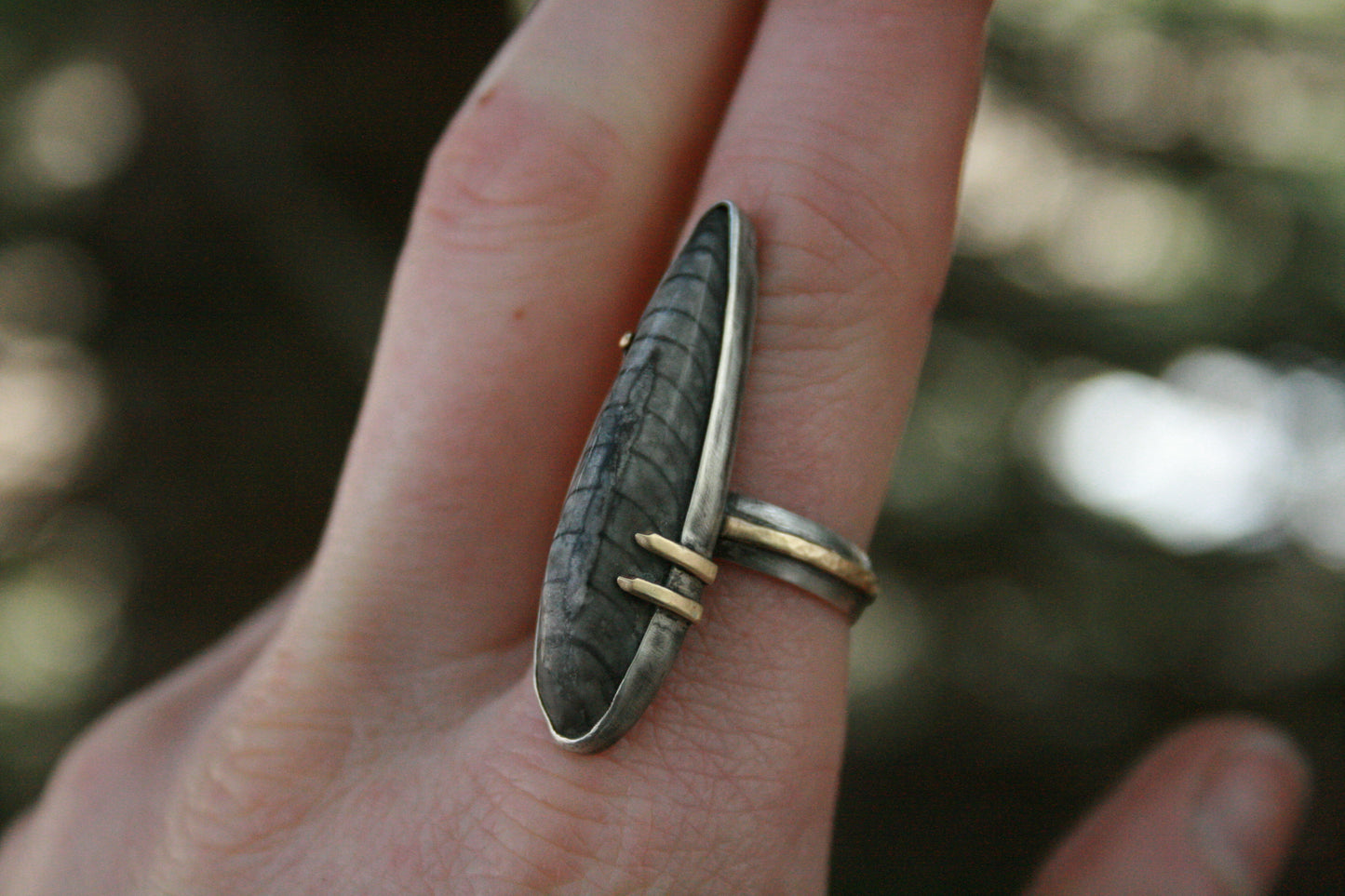 Orthoceras Ring // Size 7.75-8