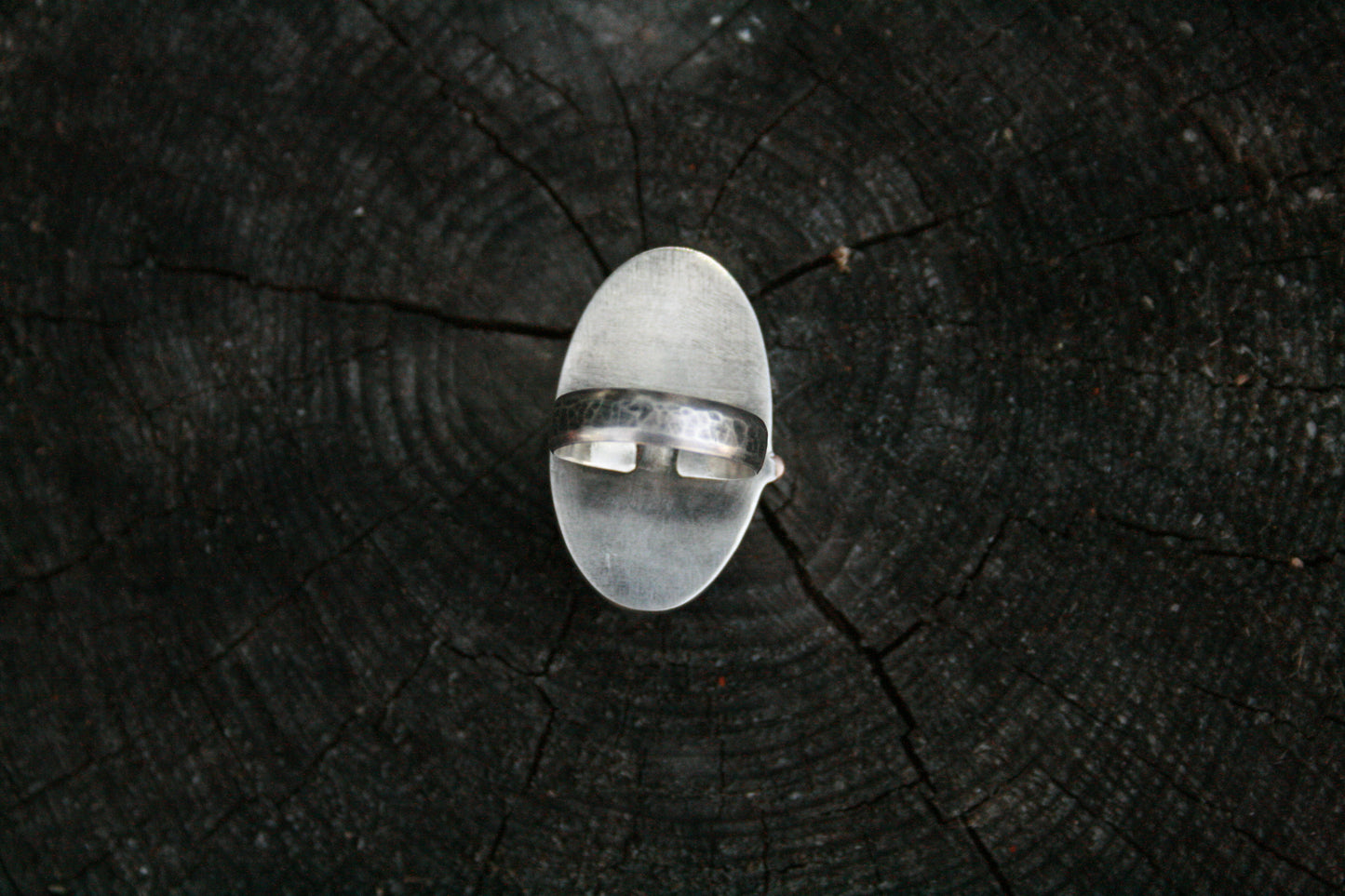 Petoskey Stone Ring // Size 6