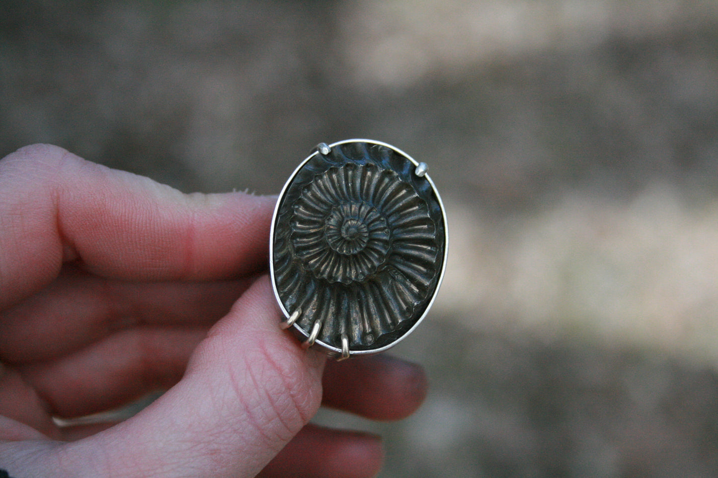 Pyritized Ammonite Negative Ring // Size 7-7.25