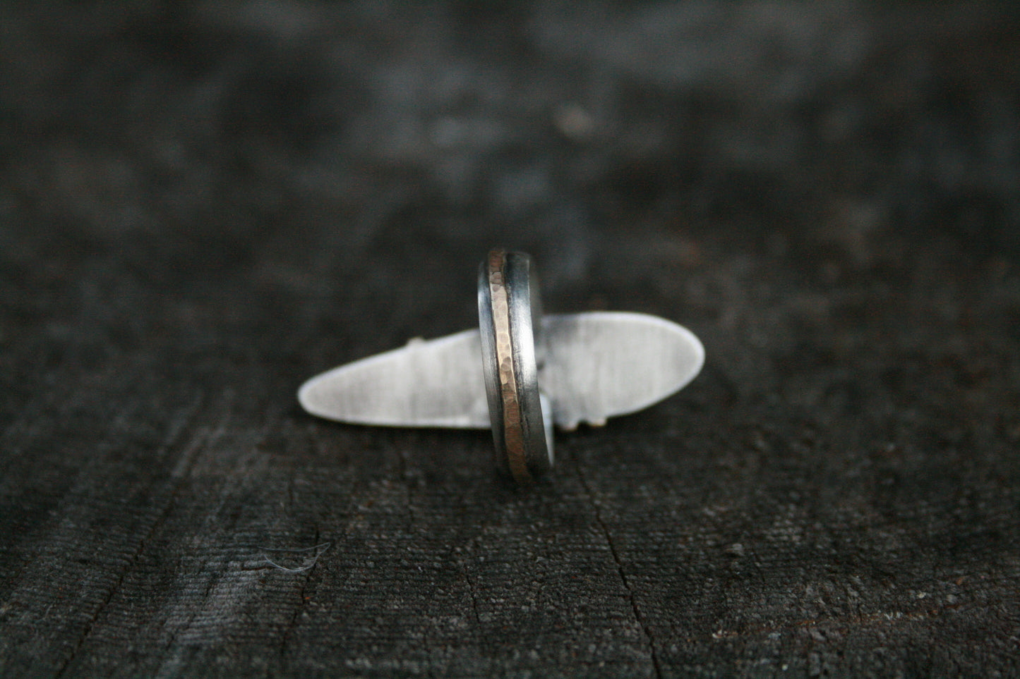 Orthoceras Ring // Size 7.75-8
