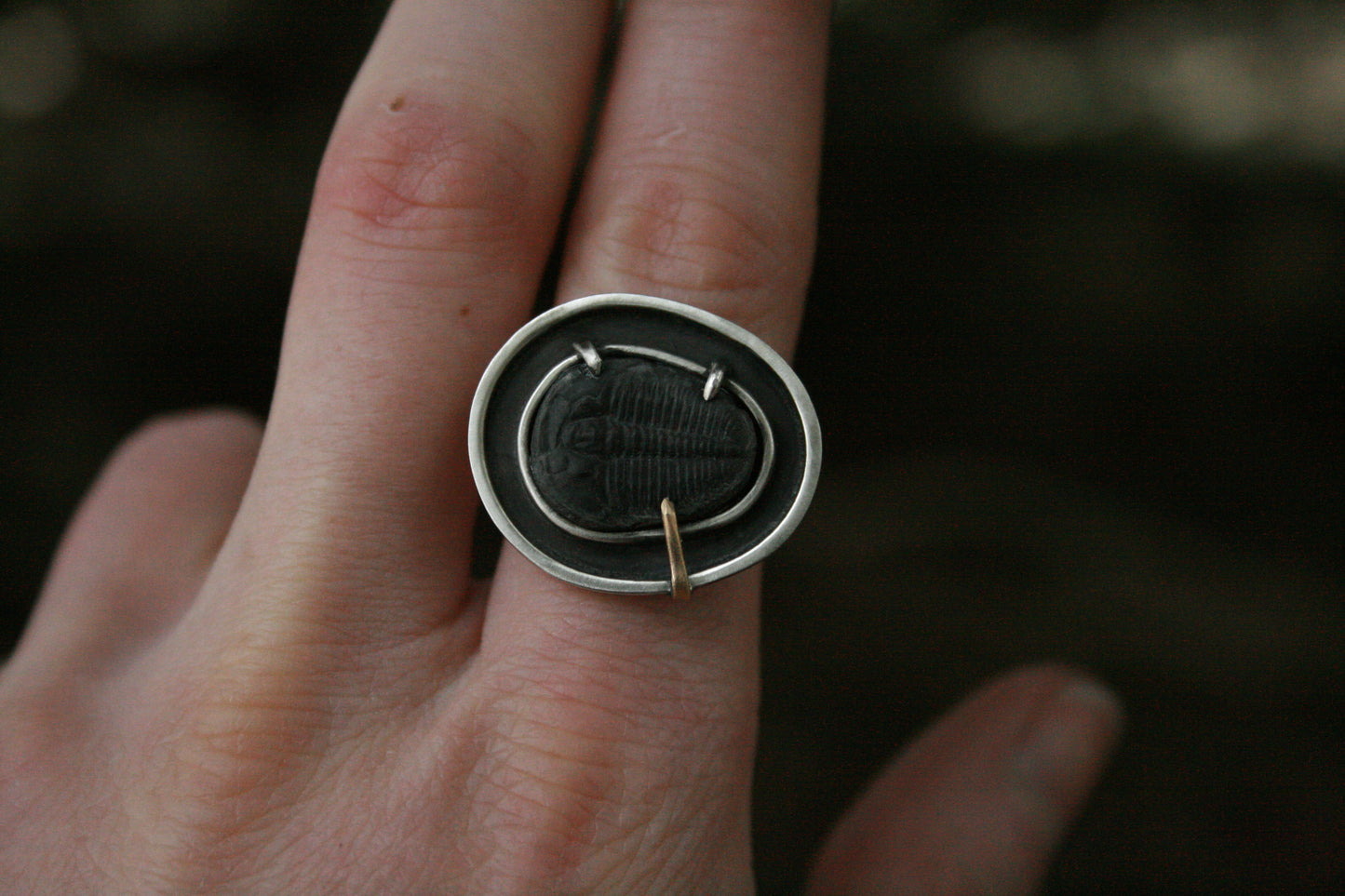 Trilobite Ring // Size 7.5