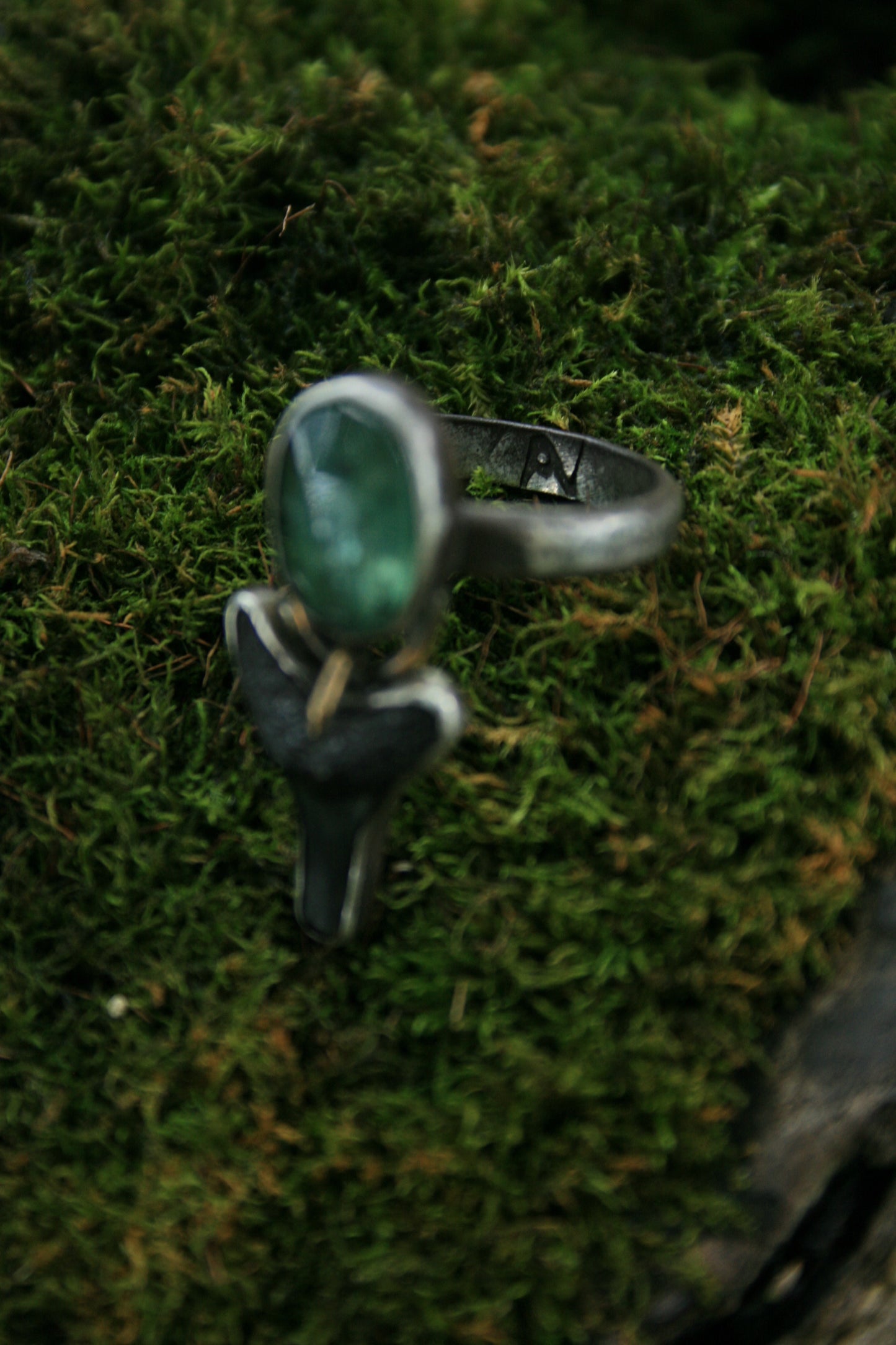 Kyanite + Shark Tooth // Size 6.5