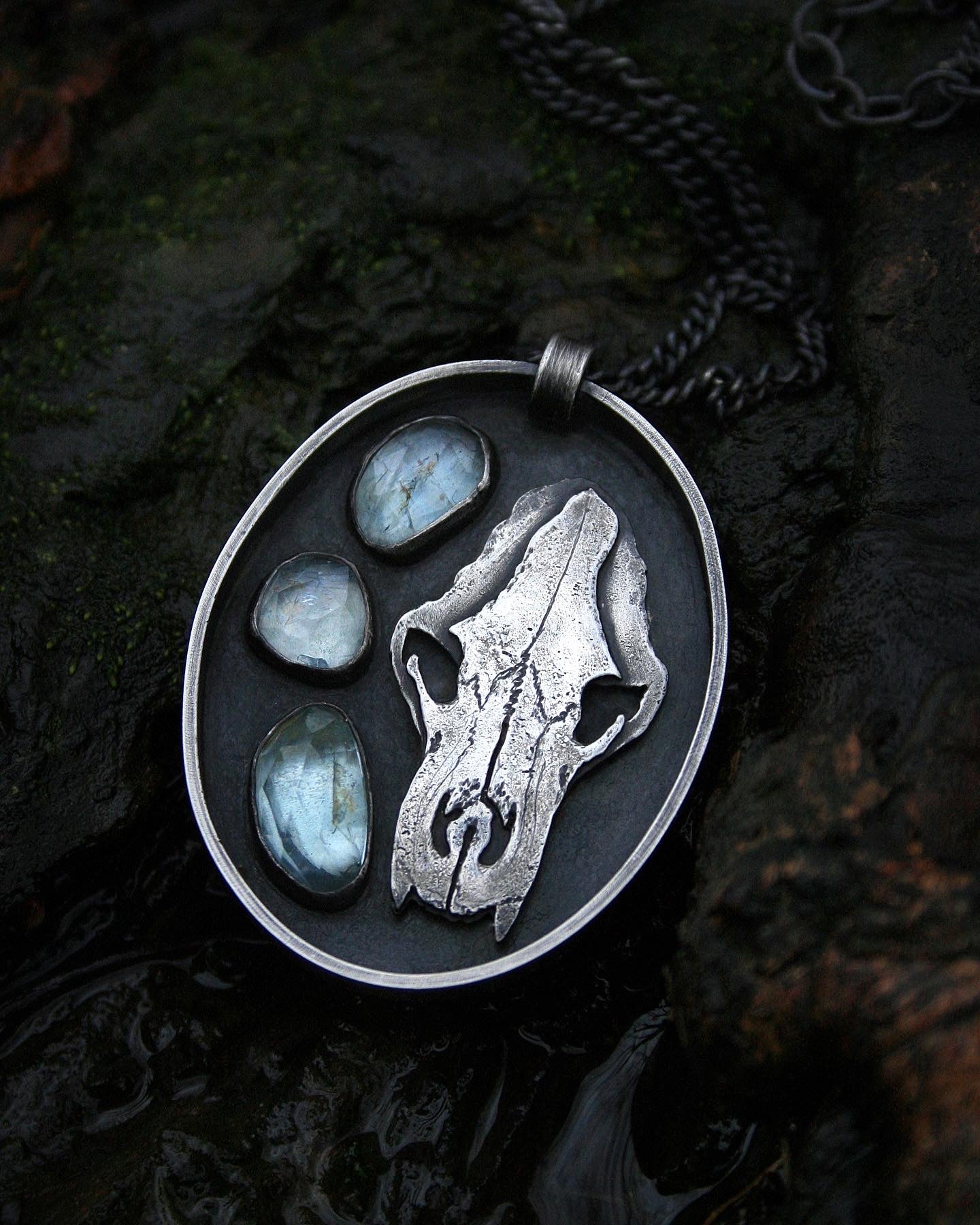 Polar Bear Shadowbox