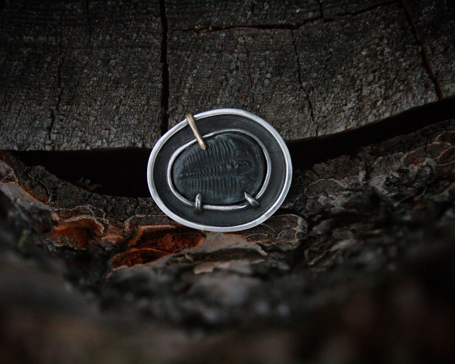 Trilobite Ring // Size 7.5