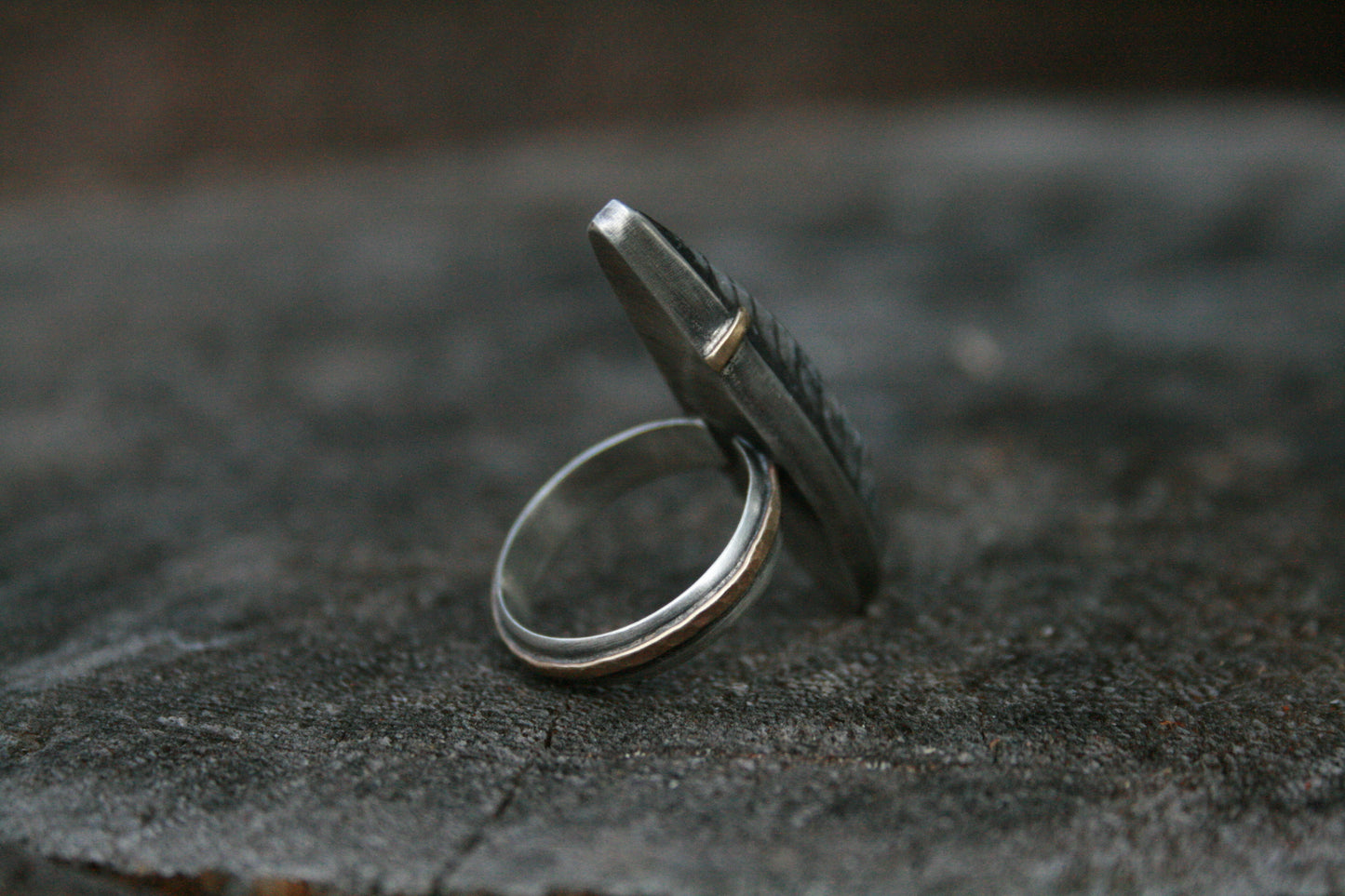 Orthoceras Ring // Size 7.75-8