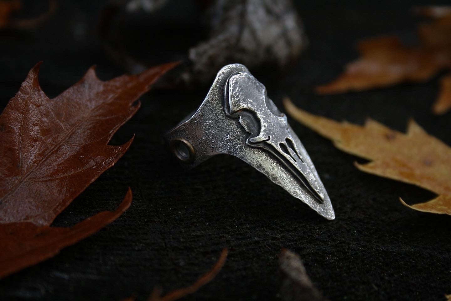 Raven Skull Shield Ring // Size 7.5