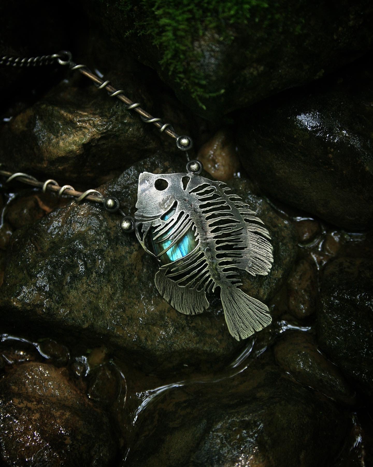 Bluegill Skeleton