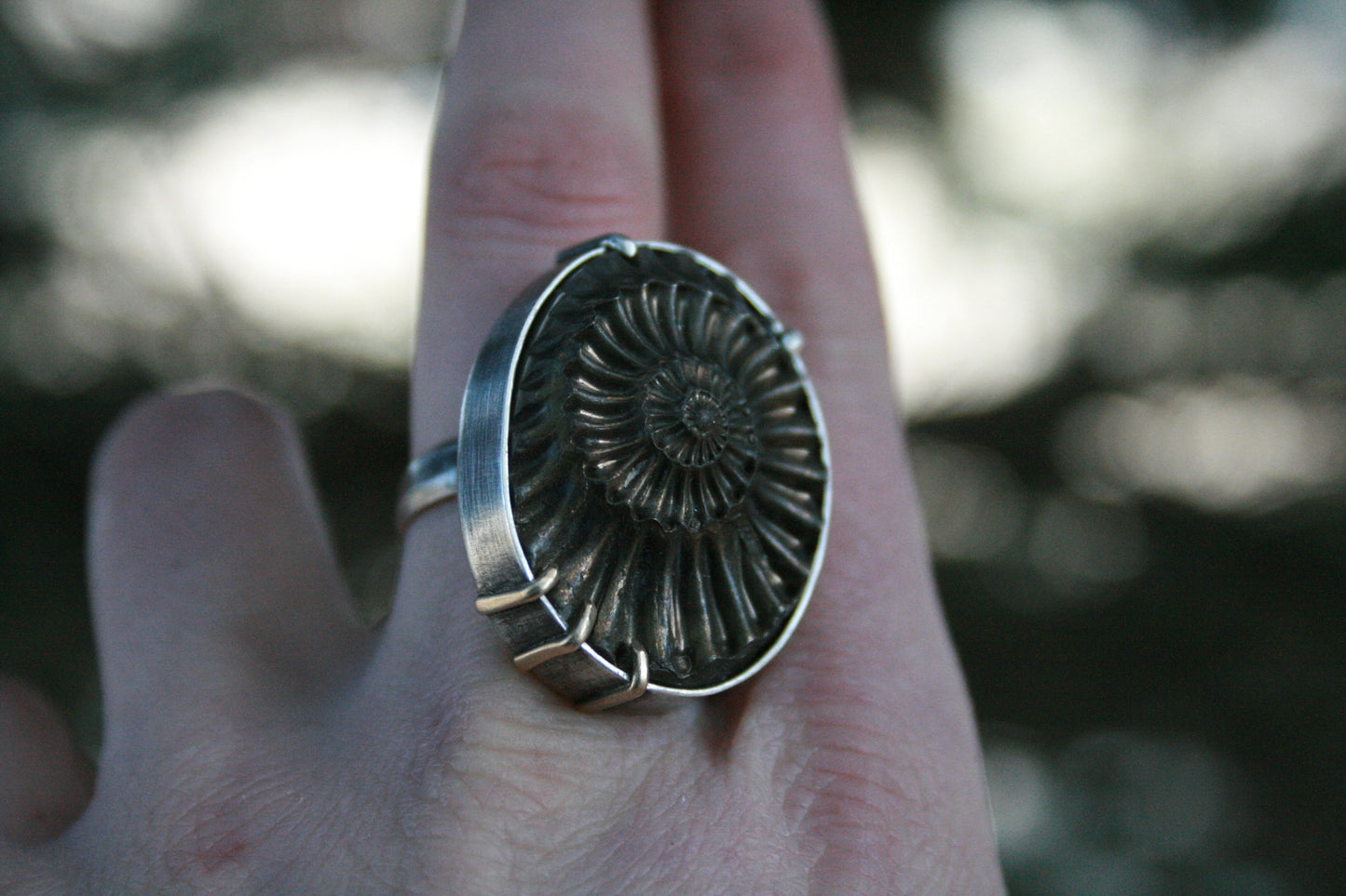 Pyritized Ammonite Negative Ring // Size 7-7.25