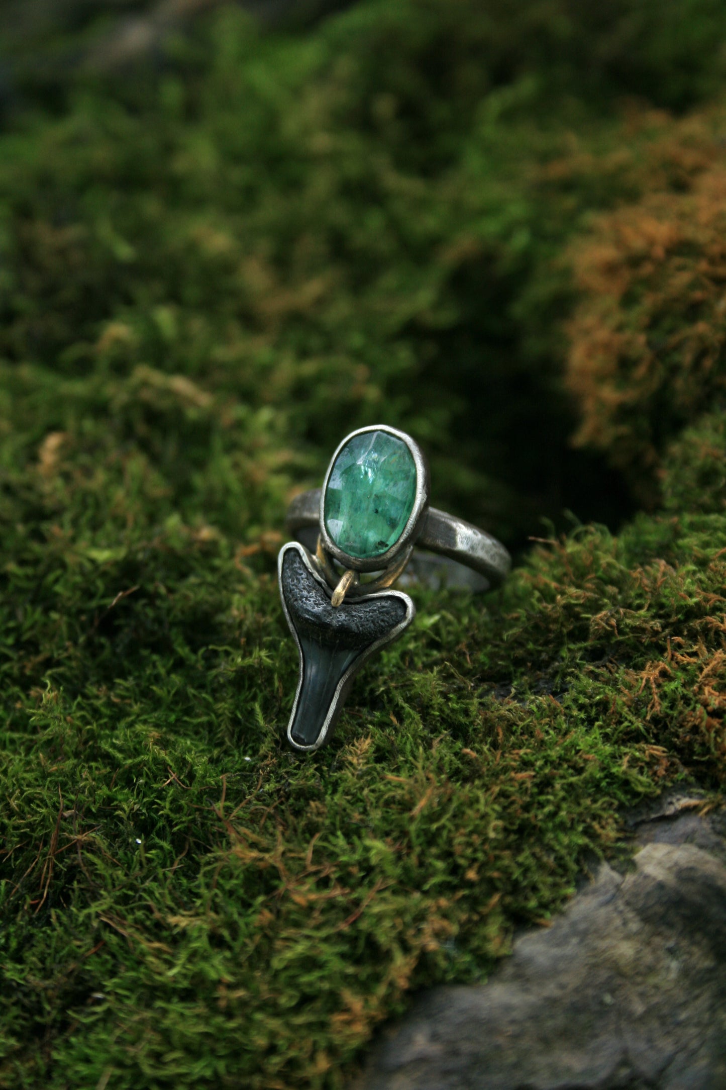 Kyanite + Shark Tooth // Size 6.5