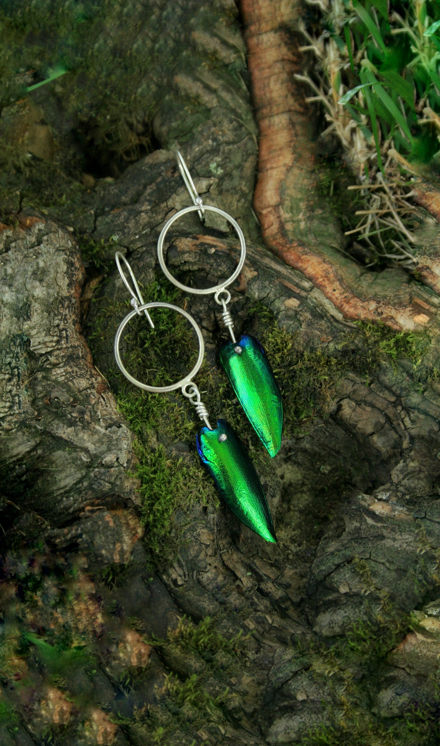 Jewel Beetle Wing Earrings