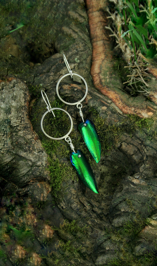 Jewel Beetle Wing Earrings