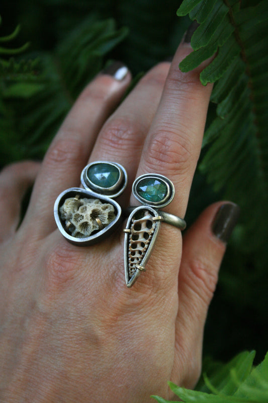 Sea Specimen Rings