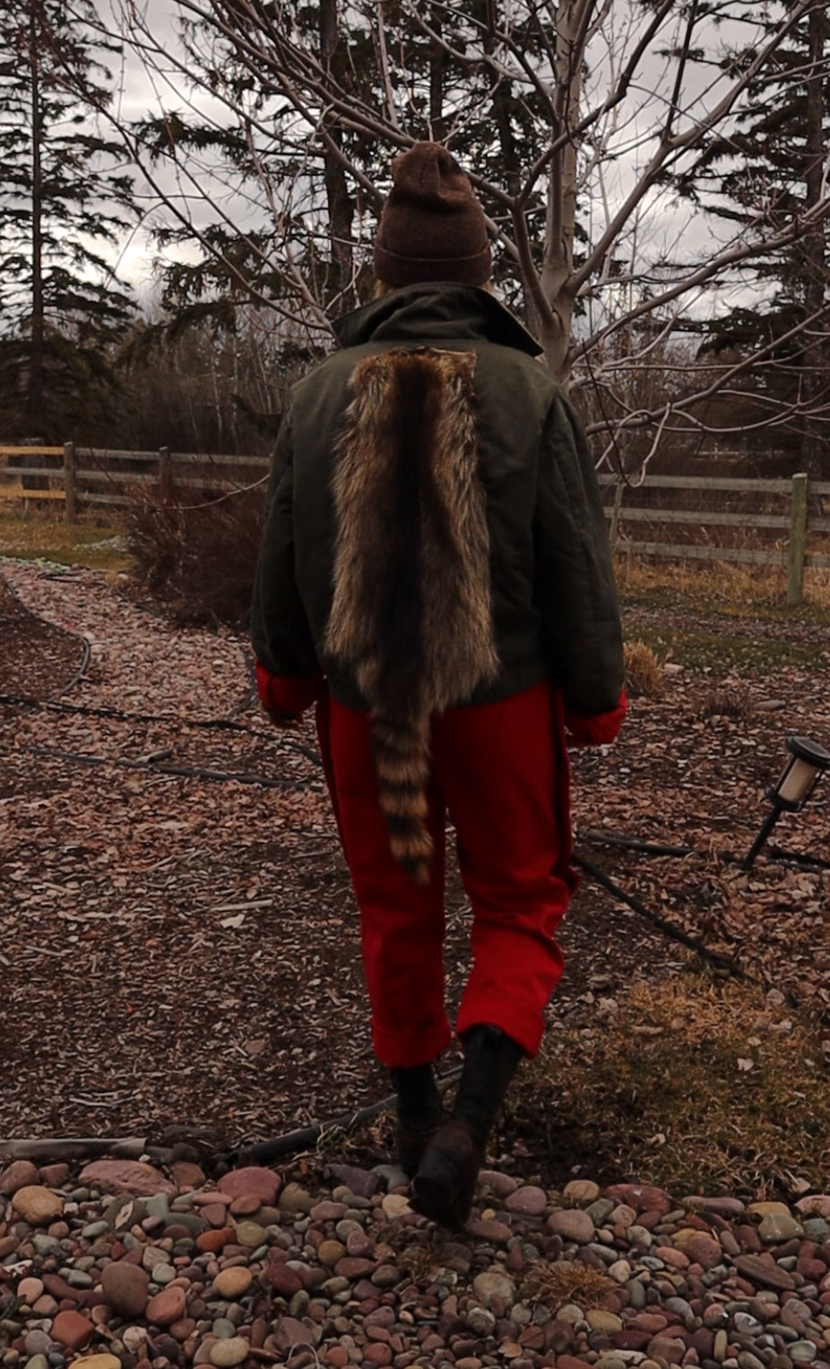 Raccoon Jacket