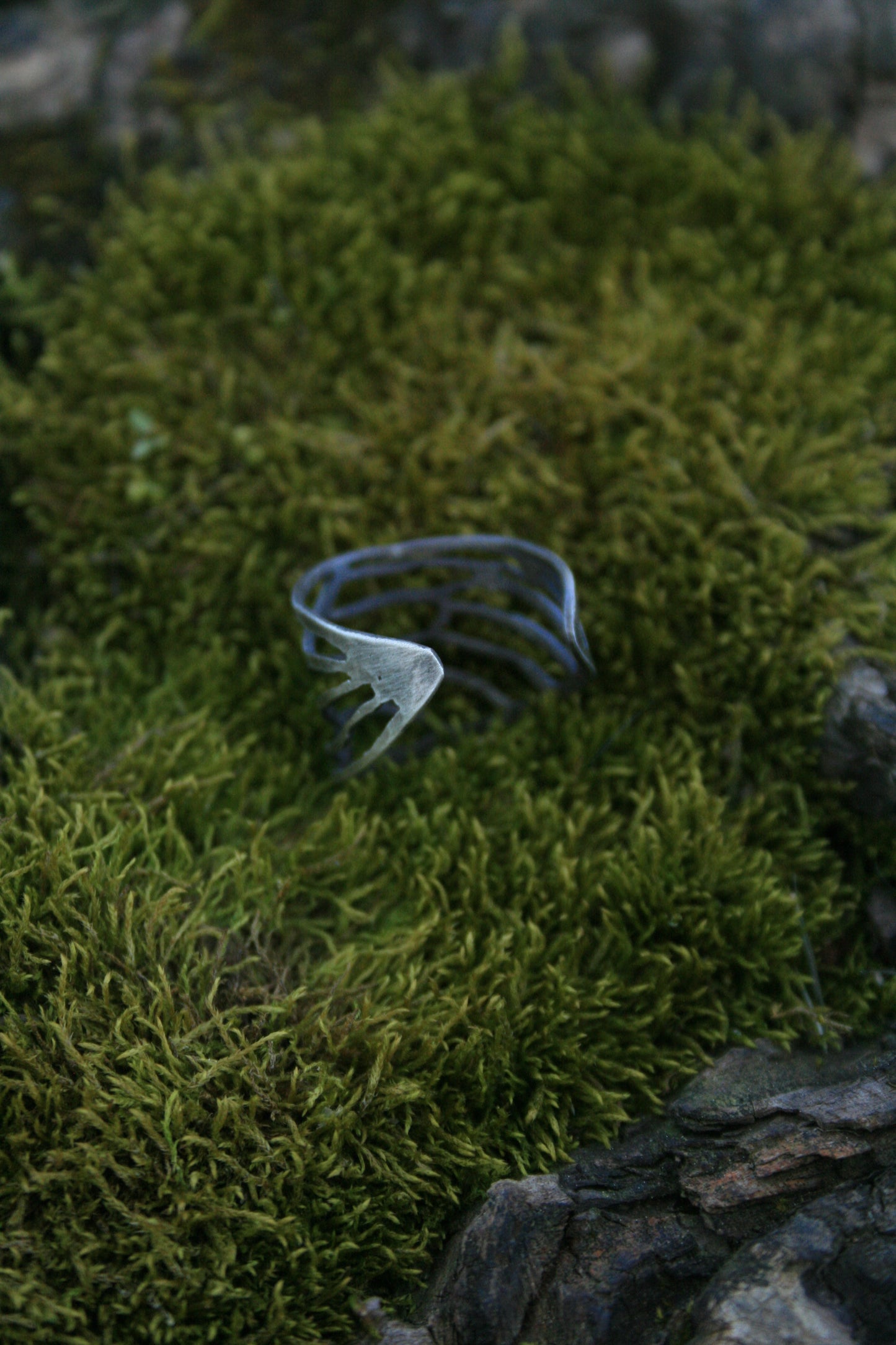 Cicada Wing Open Band Ring / READY TO SHIP