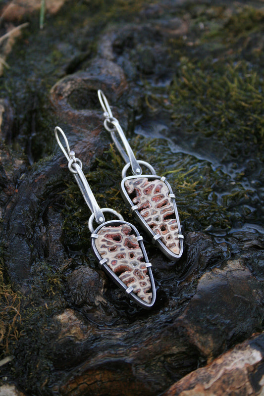 Petrified Wood Earrings