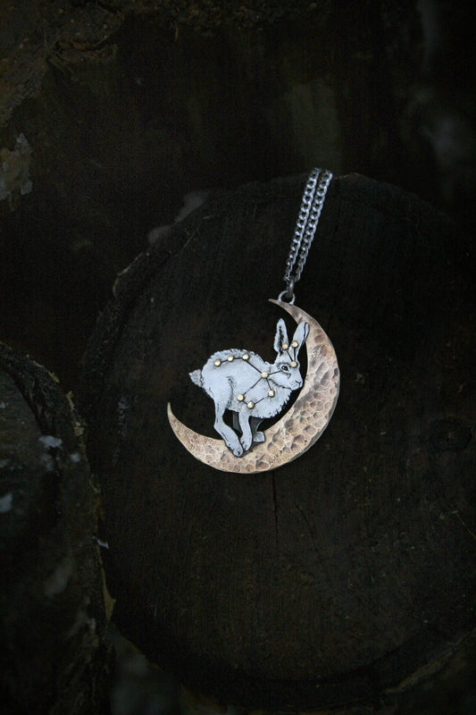 Lepus Part II