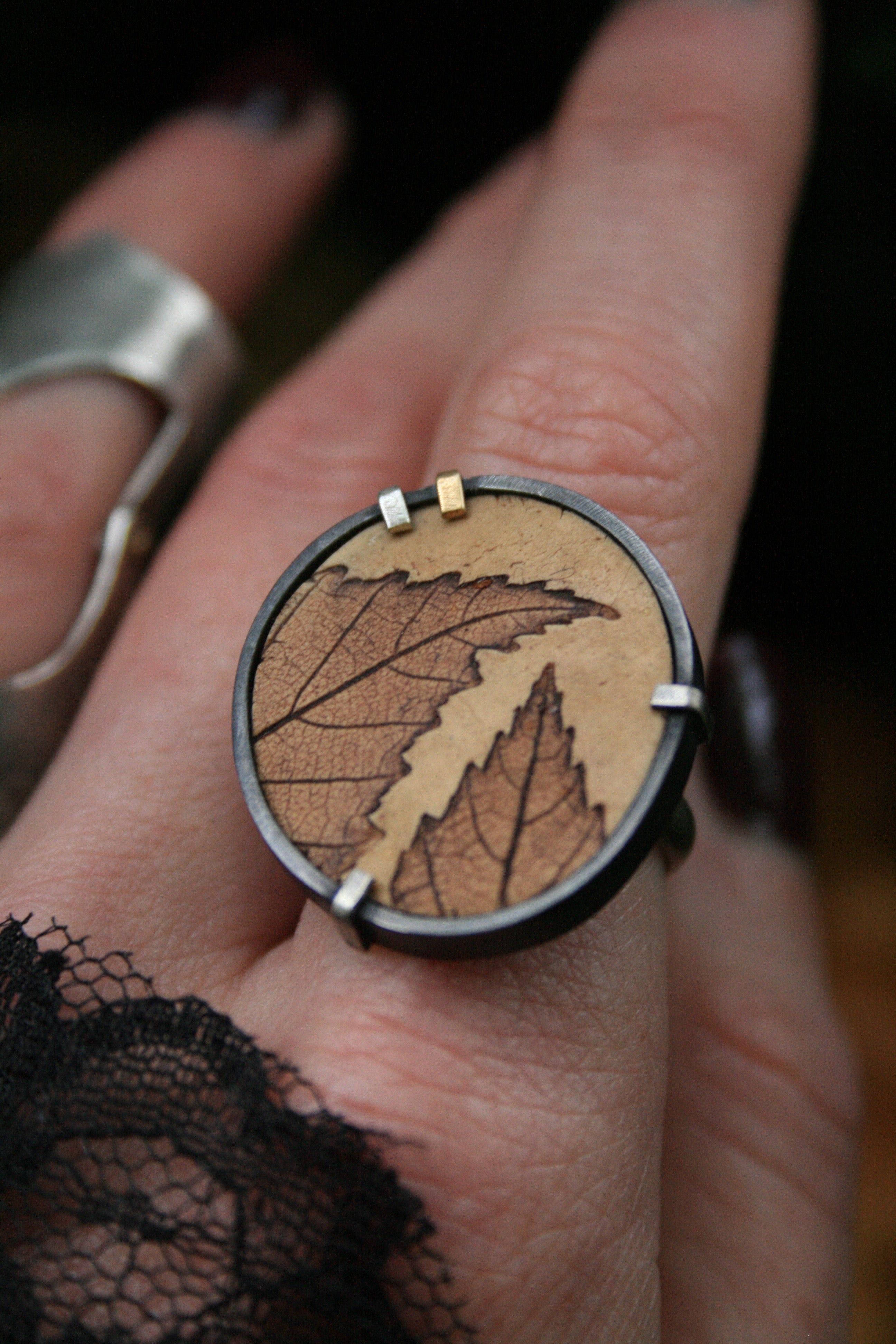 Montana Birch Ring - Size 7