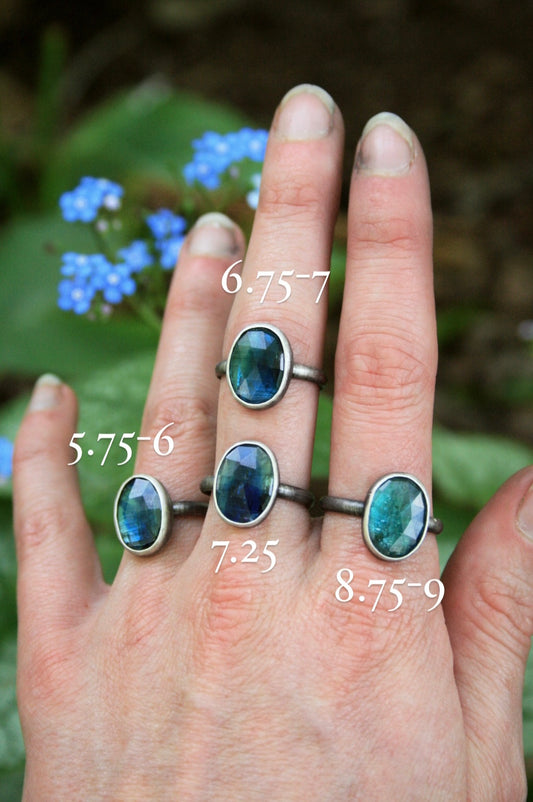 Kyanite Forest Rings