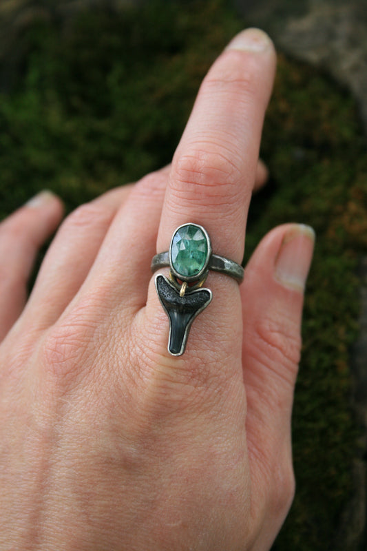 Kyanite + Shark Tooth // Size 6.5