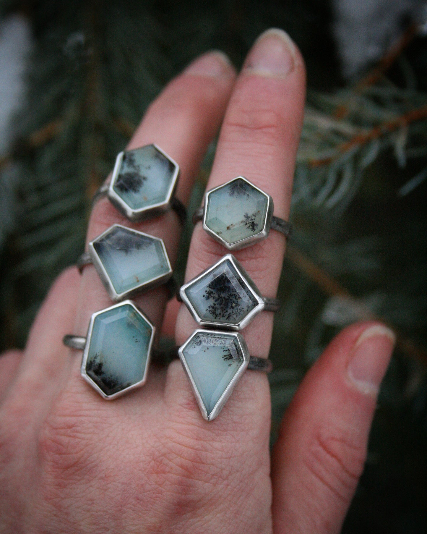 Winter Sun Rings