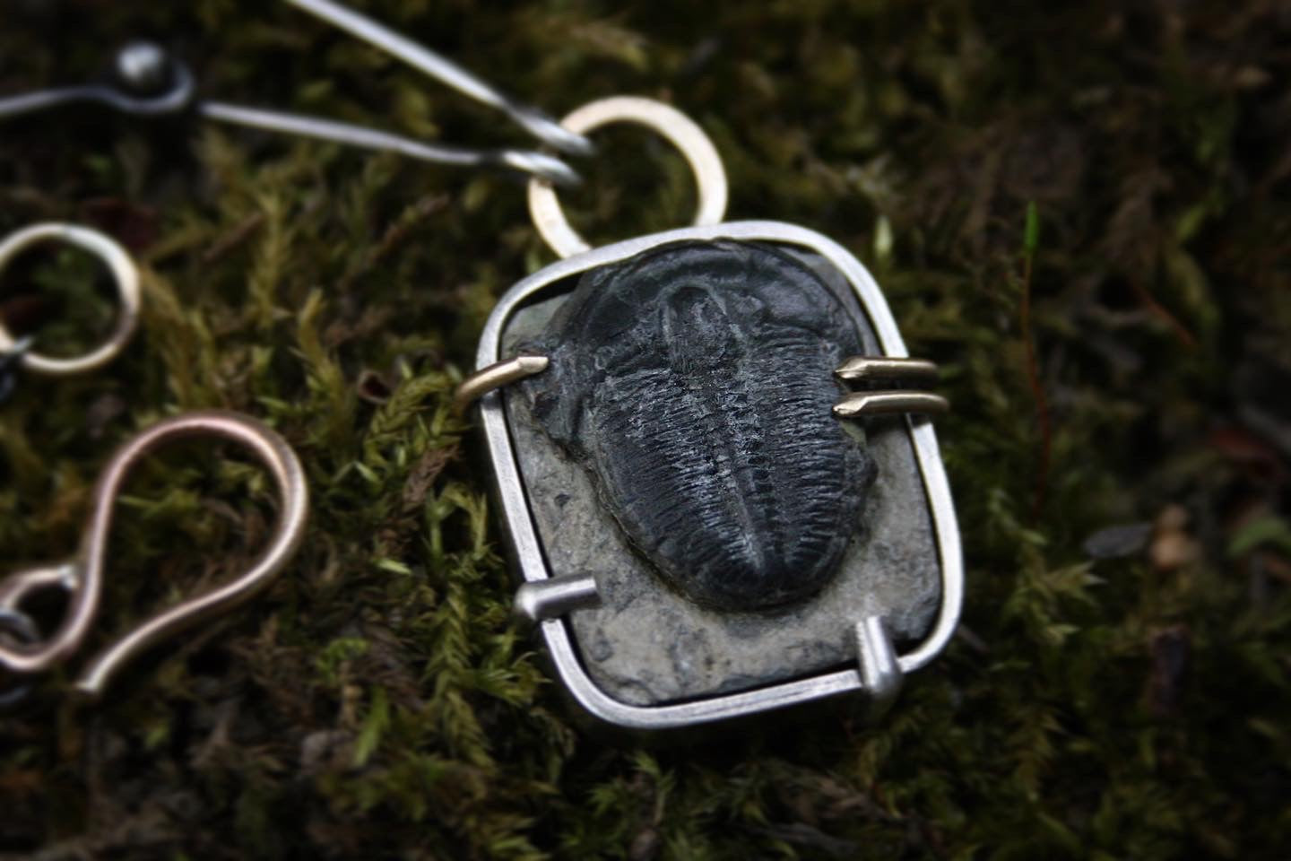 Trilobite Necklace