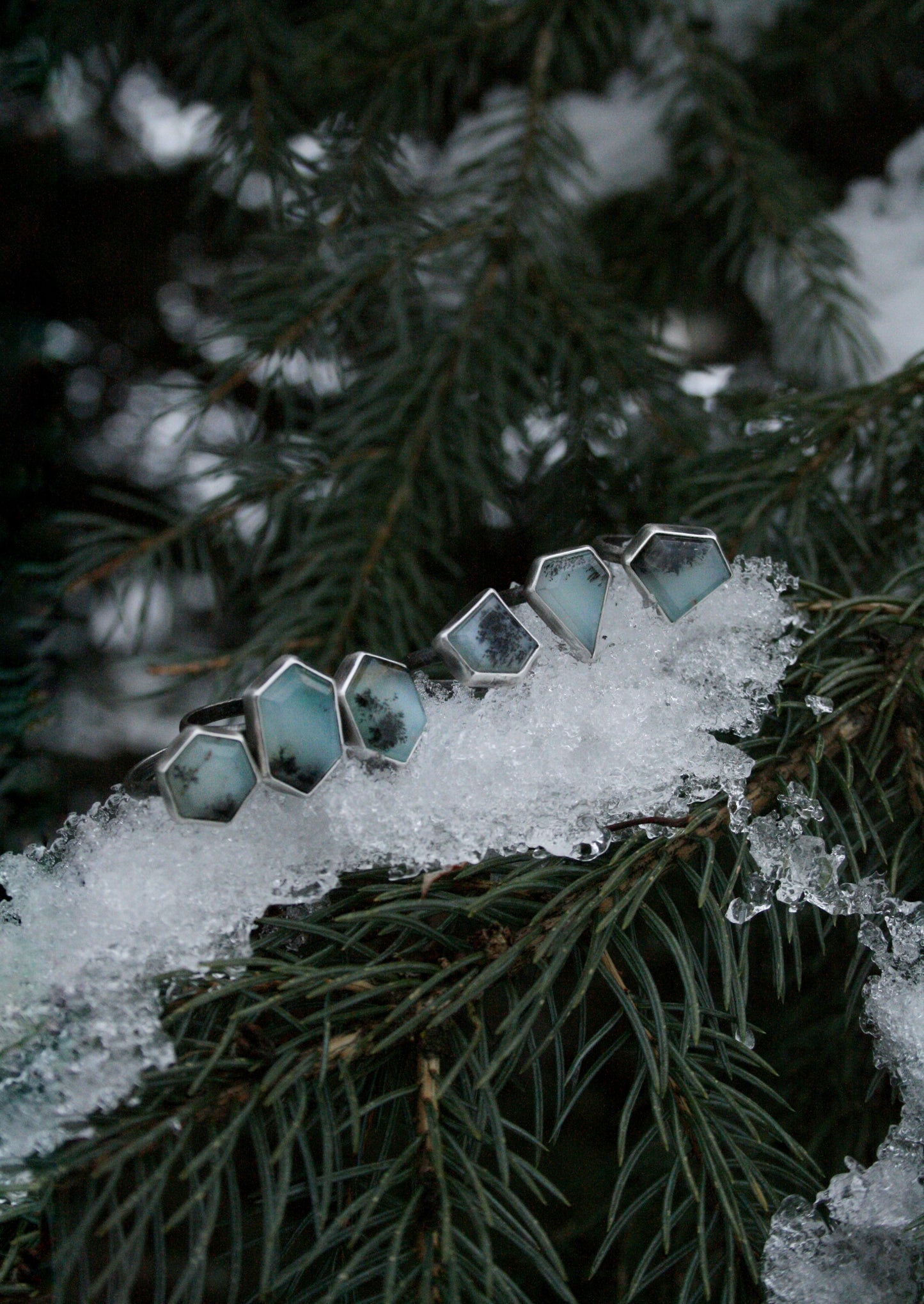 Winter Sun Rings