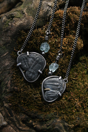 Trilobite + Aquamarine Necklace