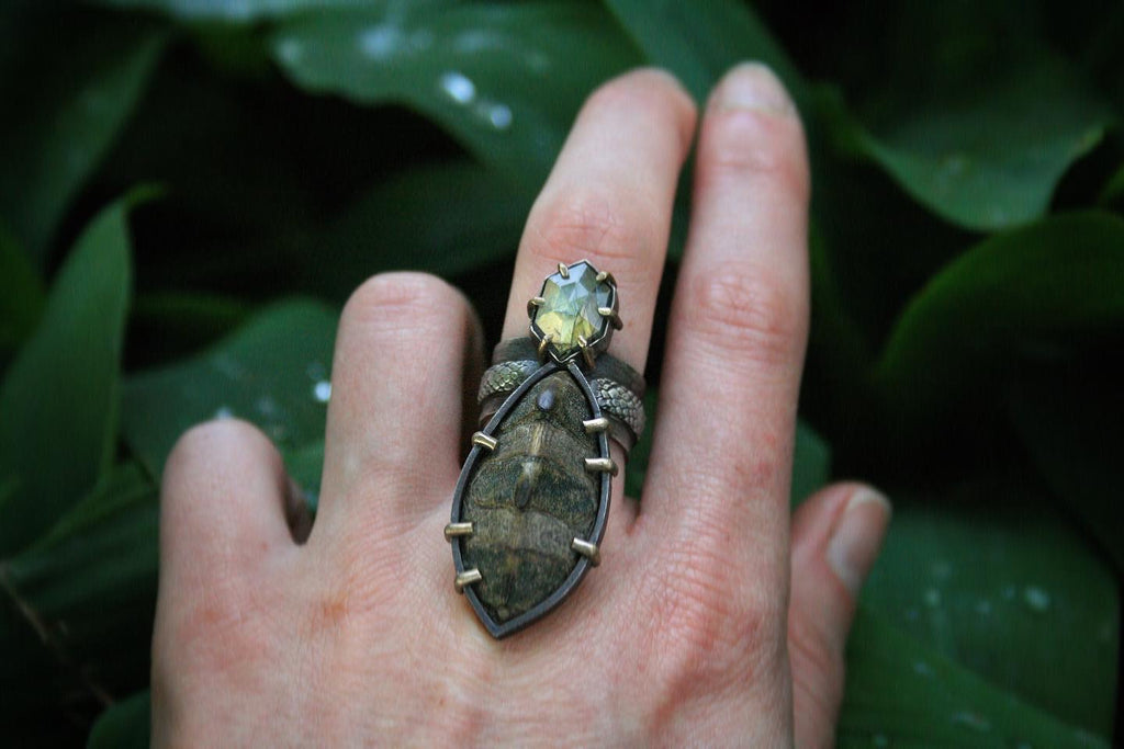 Turtle Shell + Labradorite. Fits size 5-8.