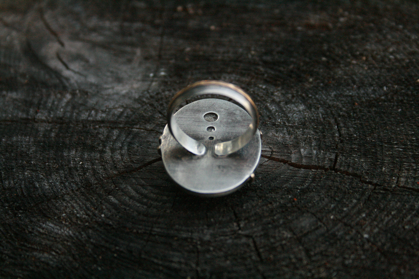 Petoskey Stone Ring // Size 8.25-8.5