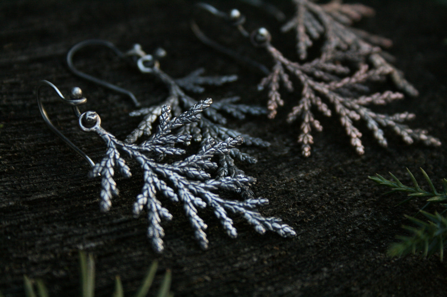 Cedar Earrings