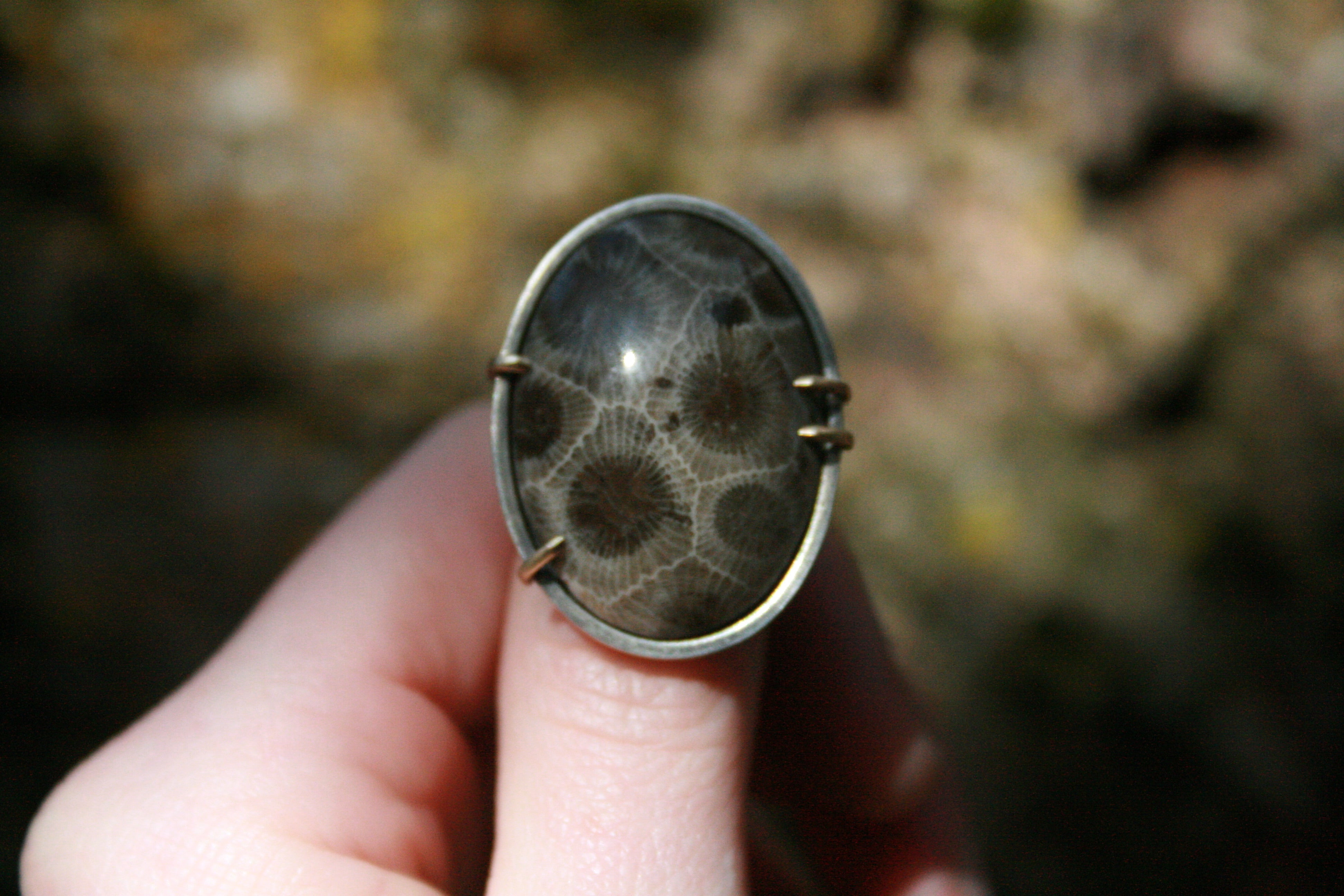 Petoskey Stone Ring // Size 8.25-8.5