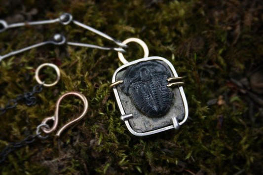 Trilobite Necklace