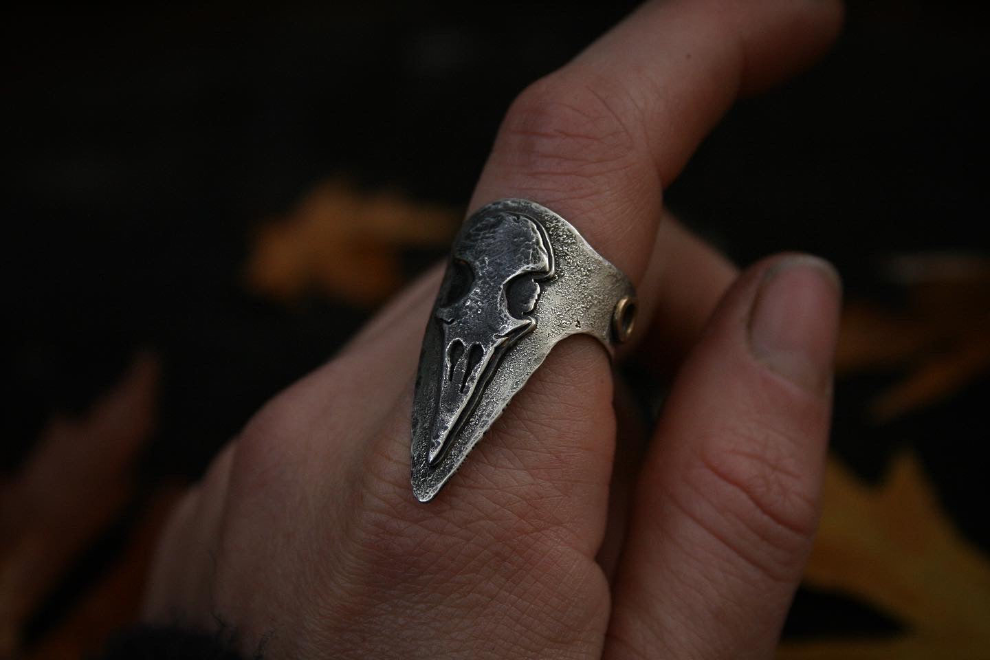 Raven Skull Shield Ring // Size 7.5