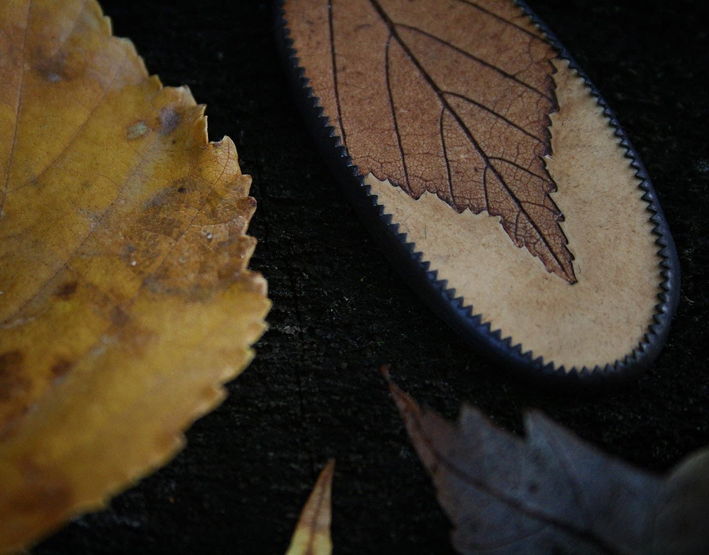 Birch Leaf Earrings