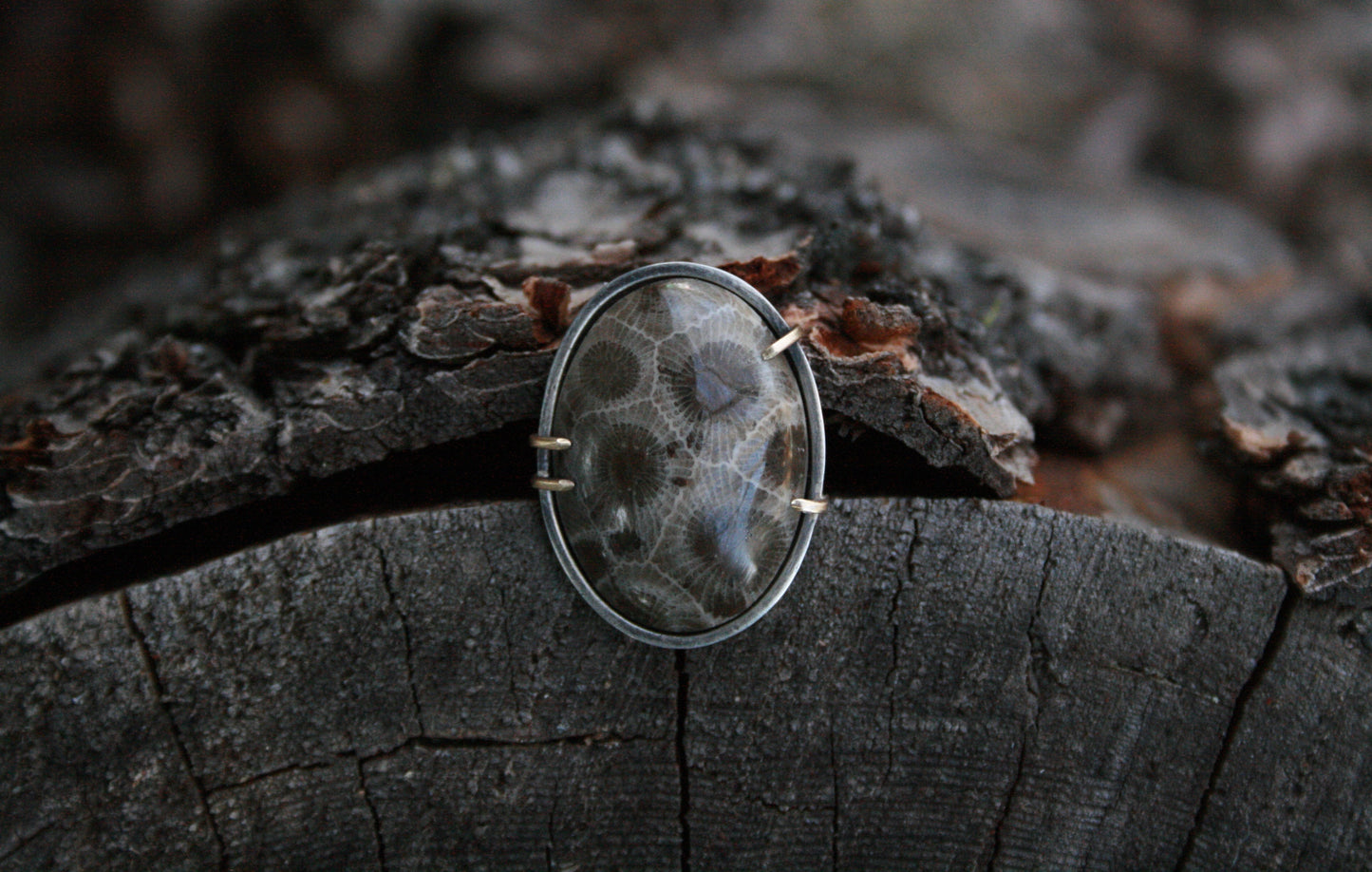 Petoskey Stone Ring // Size 8.25-8.5