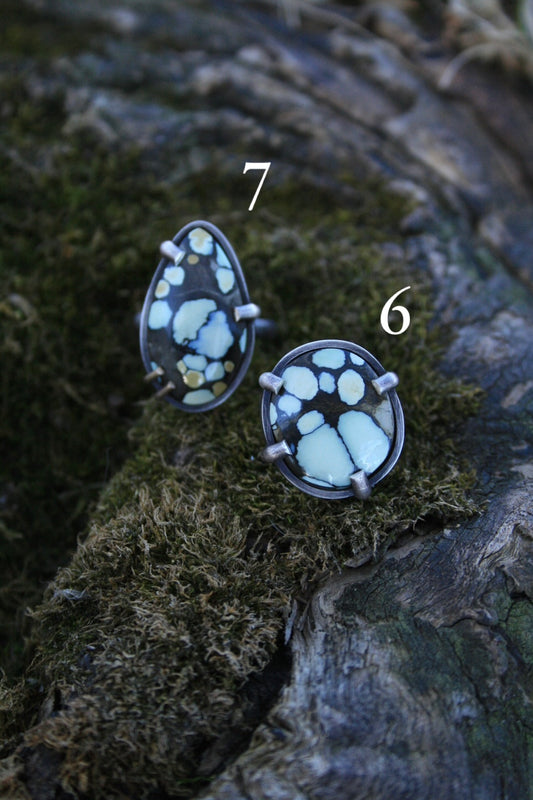Bloom Rings
