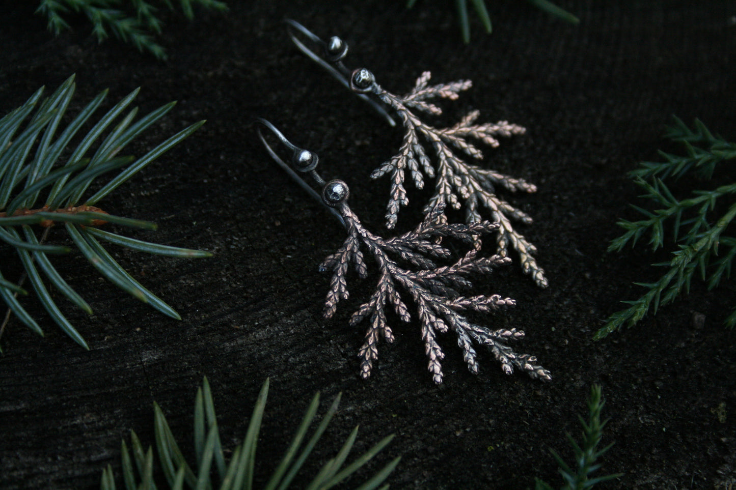 Cedar Earrings