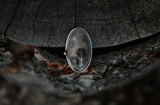 Petoskey Stone Ring // Size 6